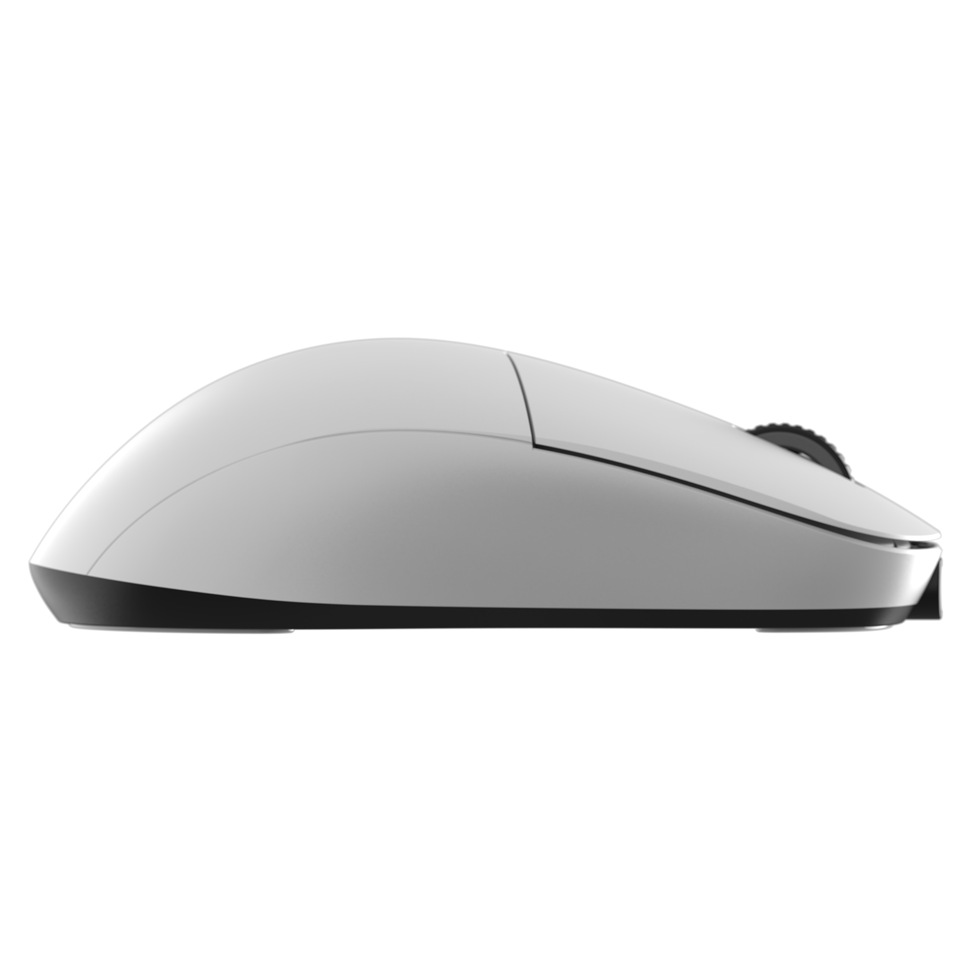XM2we Wireless Gaming Mouse